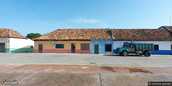 JUNTA LOCAL SANIDAD VEGETAL ZONA SUR PALIZADA